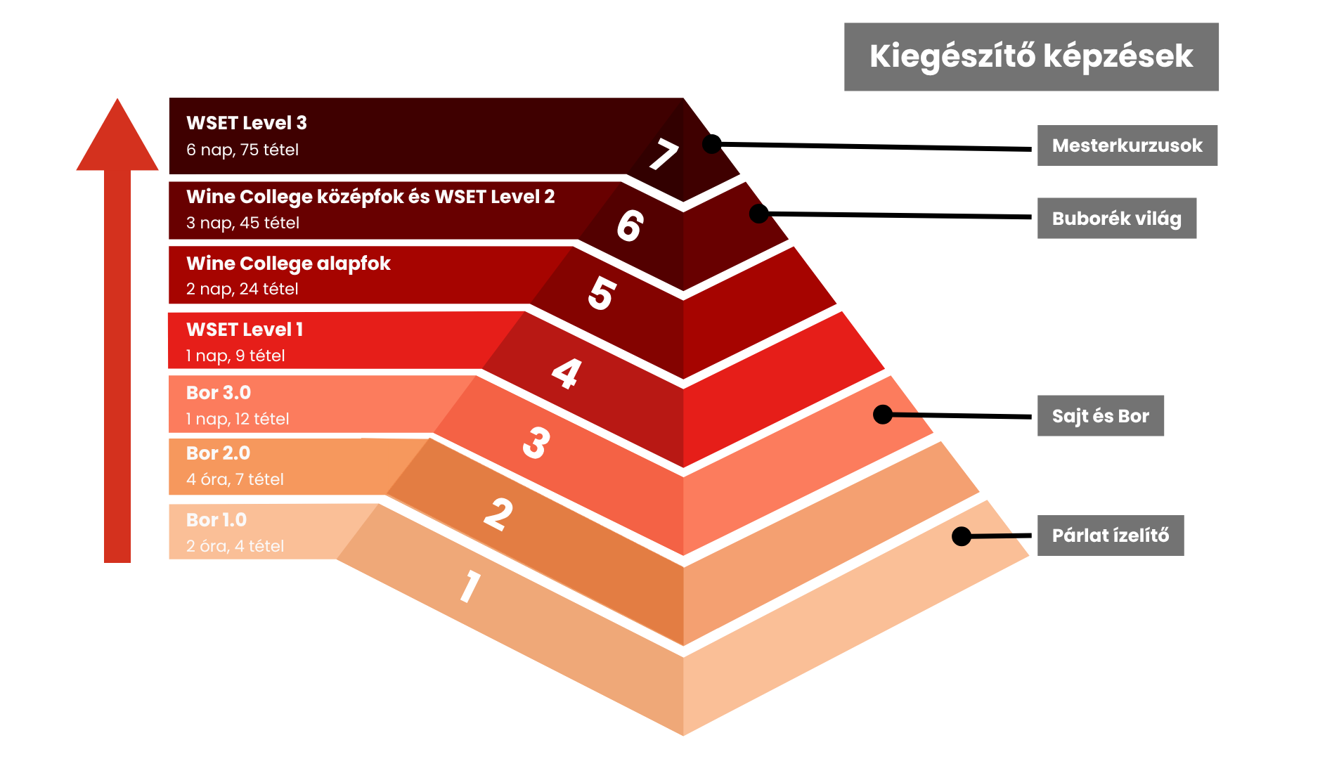 Winelovers Wine College oktatási piramis, kép